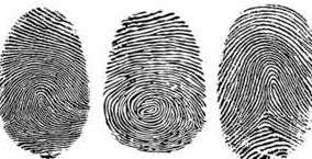 police fingerprints
