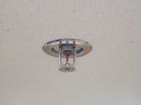 {ABD253E1-8916-4E25-A48A-42D45BDAA25E}_Web